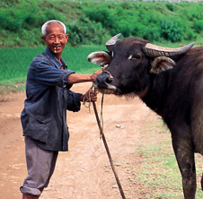 小型飼料顆粒機,農民圓夢！